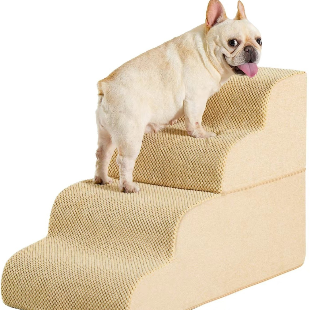 Dog Stairs and Ramp
